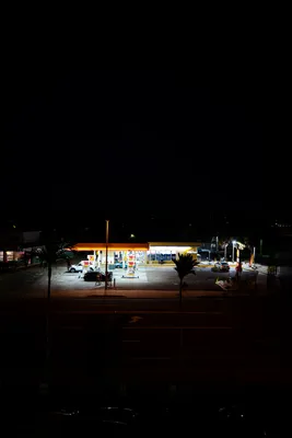 _NZF1130.jpg