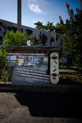 _NZF0569.jpg